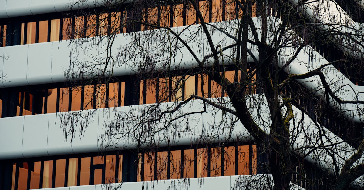 Addressing Common Challenges in Office Window Cleaning