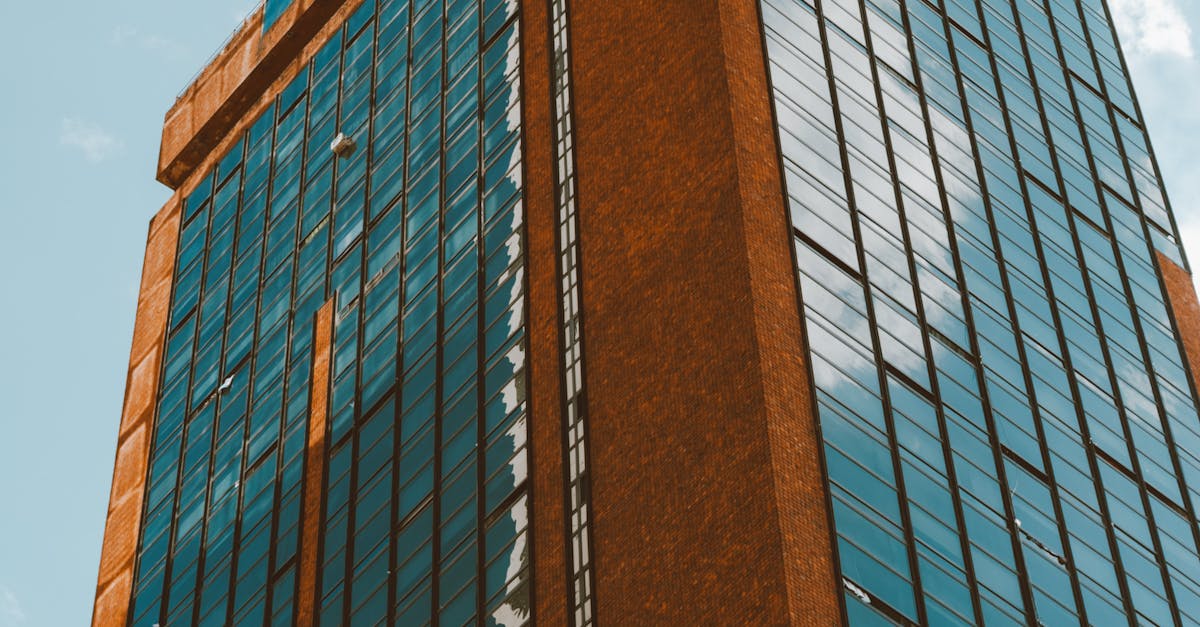 Importance of Dusting and Sanitisation in Office Environments