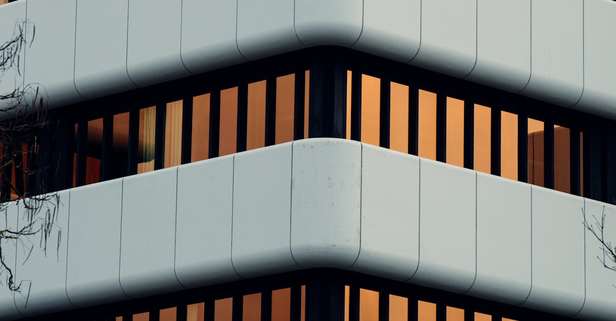 Importance of Regular Vacuuming in Office Spaces