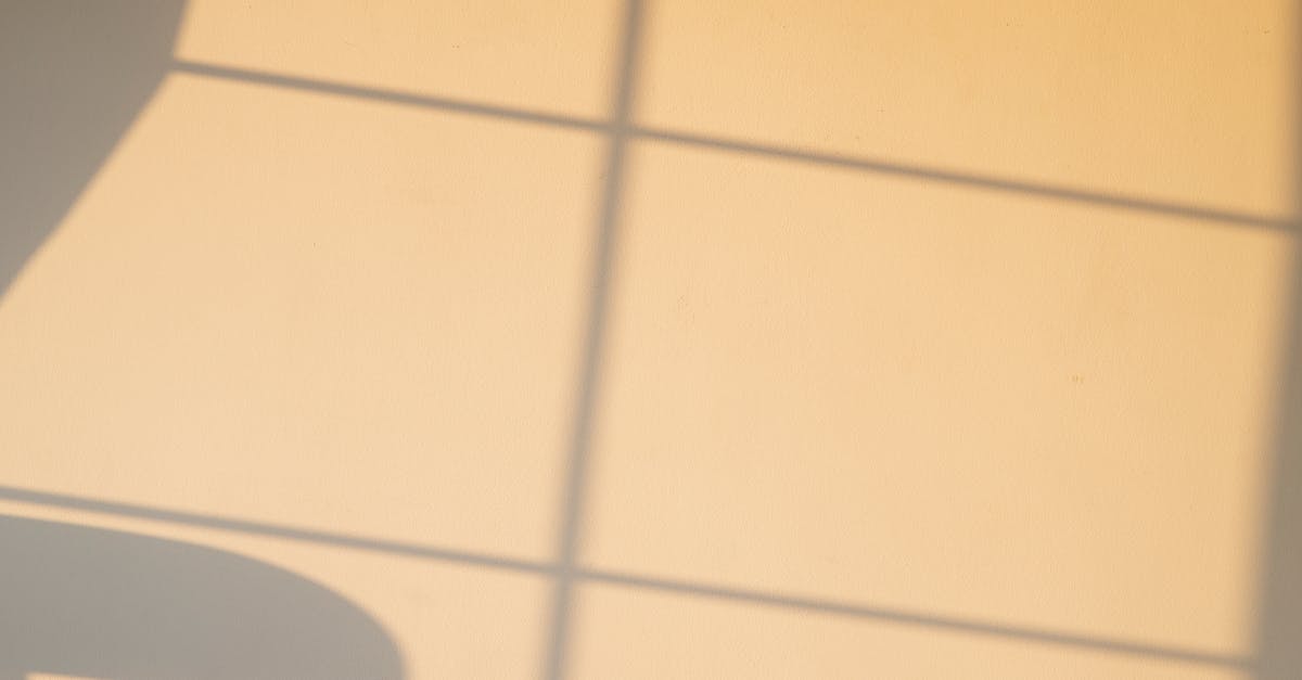 Maximizing Efficiency in Office Vacuuming Routines