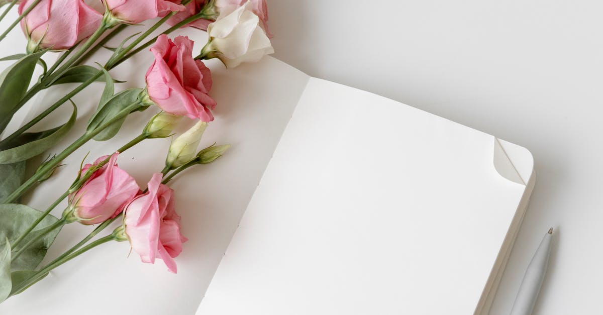 Waste Segregation Techniques for Efficient Office Cleaning